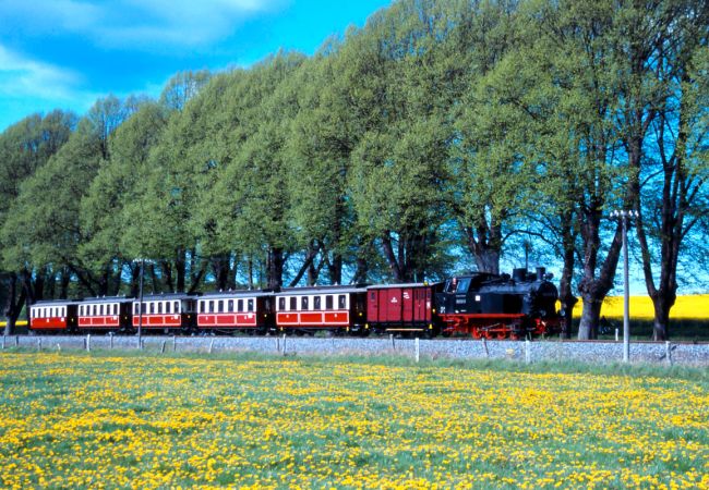 Inselflair im Frühling